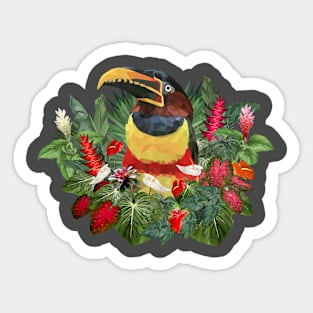 Drawn polygonal art of toucan birds. Sticker